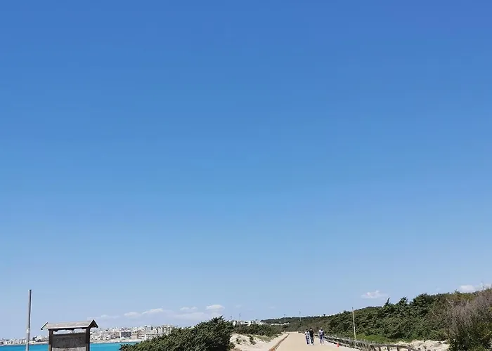 Baia A Schiera A 100 M Dalla *